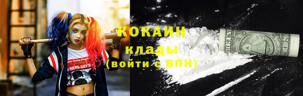 амф Вяземский