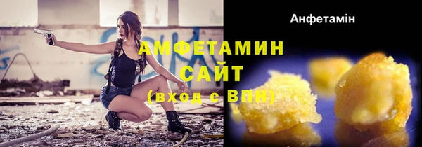 амф Вяземский