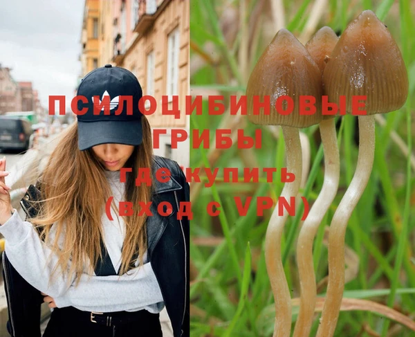 амф Вяземский