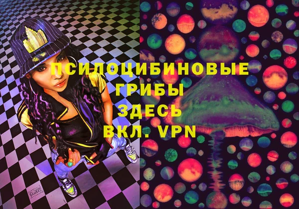 амф Вяземский