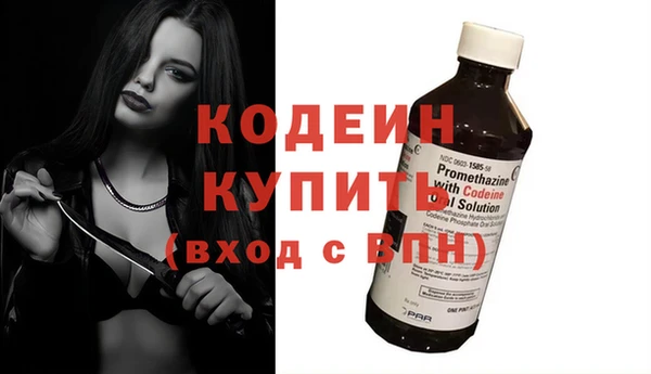 амф Вяземский