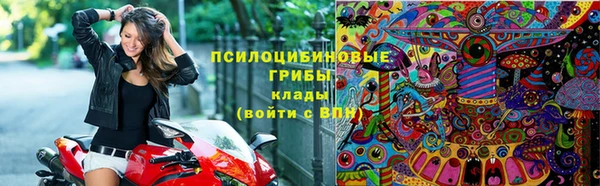 амф Вяземский