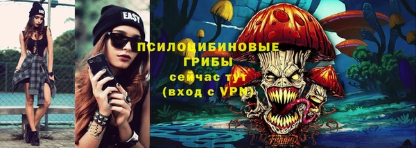амф Вяземский