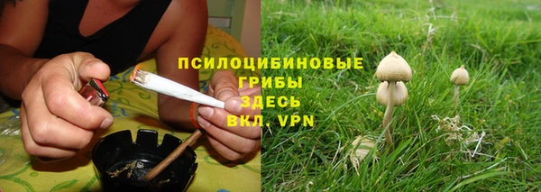 spice Вязники